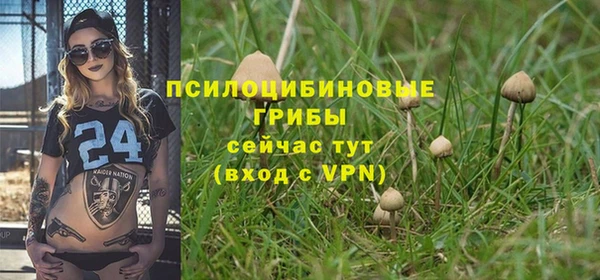 гашик Кодинск