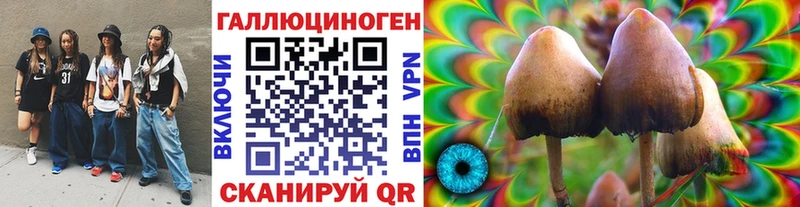 Купить закладки  Лиски  Псилоцибиновые грибы MAGIC MUSHROOMS 